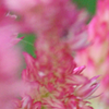 image01